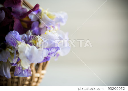 bouquet of beautiful blooming iris flowers on wooden background bouquet of beautiful blooming iris flowers on wooden background 93200052