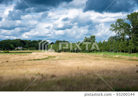 Zwolle, Overijssel, The Netherlands, - Dike view over the nature fields, trees and clouds of the River Ijssel flood zone 93200144