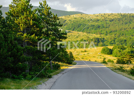 Empty country road in mountains on a sunny summer day.  93200892