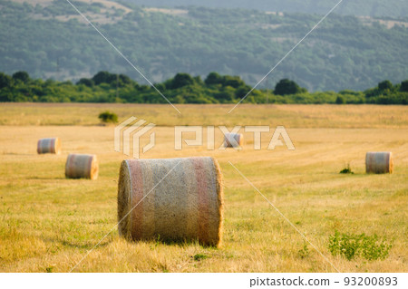 Rural landscape with bales of wheat straw against blurry green mountains at sunlight. Countryside scenery with bales scattered on field 93200893