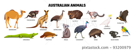 Australian Animals Set 93200979