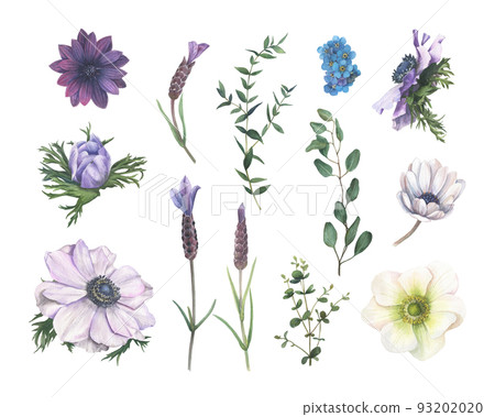 Large set of isolated floral elements drawn in watercolor. Large set of isolated floral elements drawn in watercolor. 93202020