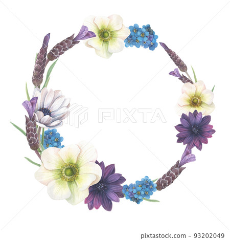 Floral arrangements of colorful anemones, forget-me-nots, lavender painted in watercolor. 93202049