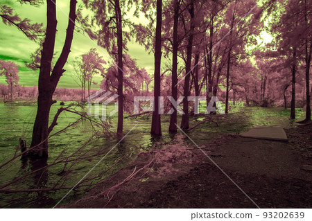 Infrared photograph of flooding in the Nepean River in Penrith in Australia 93202639