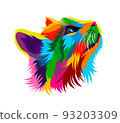 Abstract Kitten face portrait, cat face from multicolored paints. European cat 93203309