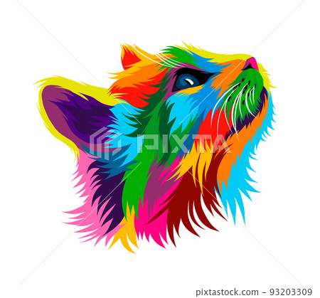 Abstract Kitten face portrait, cat face from multicolored paints. European cat 93203309