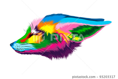 Abstract fennec fox head portrait, sand fox from multicolored paints. Colored drawing 93203317
