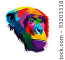 Abstract monkey chimpanzee head portrait from multicolored paints. Colored drawing 93203318