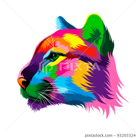 Abstract puma, cougar head portrait from multicolored paints. Colored drawing 93203324