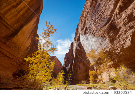 Autumn in Utah 93203584