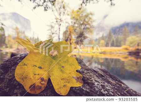 Autumn in Yosemite 93203585