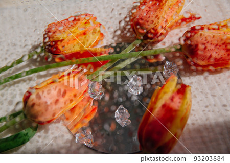 Ice crystals and bright juicy tulips lie on a round gray mirror. Blurred water droplets create interesting highlights on the foreground. Ice crystals and bright juicy tulips lie on a round gray mirror. Blurred water droplets create interesting highlights on the foreground. 93203884