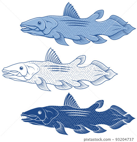 Coelacanth fish vector design Coelacanth fish vector design 93204737