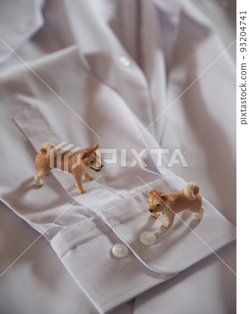 狗圖和襯衫 狗圖和襯衫 93204741