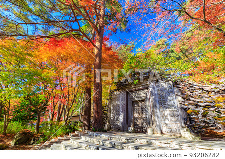 山梨縣一竹久保田美術館正門的秋葉 93206282