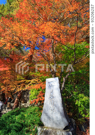 Autumn leaves near the Itchiku Kubota Art Museum in Yamanashi Prefecture 93206287