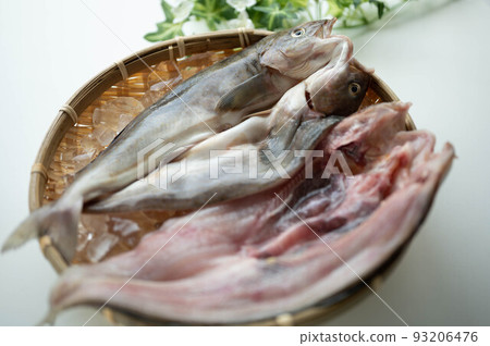 新鮮的夏季阿特卡鯖魚開幕 93206476