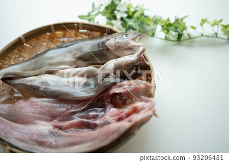 Opening of fresh summer Atka mackerel Opening of fresh summer Atka mackerel 93206481