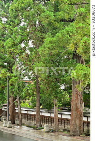 Zenringai Nishishigemori Choshoji Temple Cedar Trees Hirosaki City, Aomori Prefecture Zenringai Nishishigemori Choshoji Temple Cedar Trees Hirosaki City, Aomori Prefecture 93206673