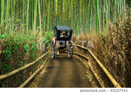 京都Sagano竹林道 93207541