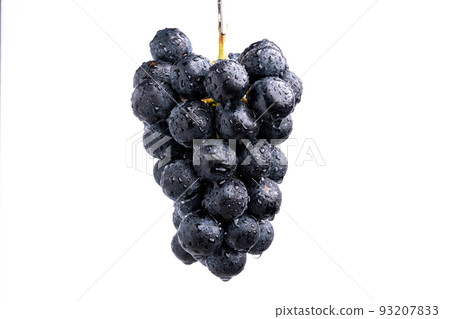 Photographed against a white background with hanging Nagano Purple (grapes) 93207833