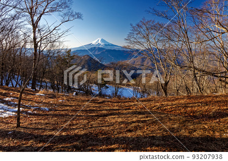 冬天從南大菩薩浜彌瓦丸看到的富士山 93207938
