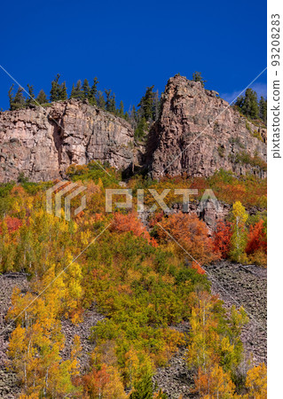 Colorful fall foliage on mountain slopes in Uinta Wasatch Cache National Forest, Utah 93208283