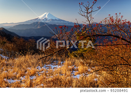 冬天的大南菩薩、大倉高丸野原和富士山 93208491