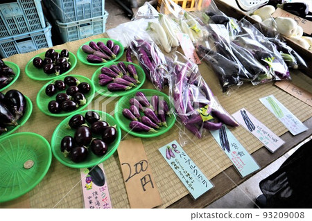 鎌倉市農業合作社現貨銷售處 93209008