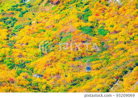 Tateyama Ropeway (Autumn) 93209069