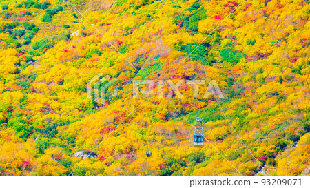 Tateyama Ropeway (Autumn) Tateyama Ropeway (Autumn) 93209071