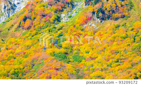 Tateyama Ropeway (Autumn) 93209172