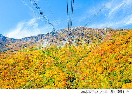 秋天的立山索道(從黑部平到大觀坊) 秋天的立山索道(從黑部平到大觀坊) 93209329