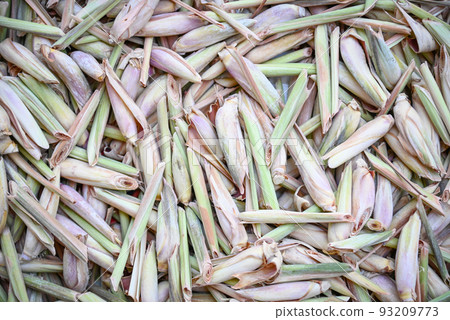 lemongrass tea, lemon grass slice on background, fresh lemon grass dry in the sun for food and herb lemongrass tea, lemon grass slice on background, fresh lemon grass dry in the sun for food and herb 93209773