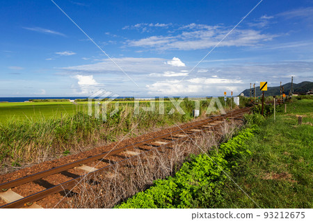 Scenery of Hongo railroad crossing and rice terraces on the San'in Main Line, Toyoura-cho, Shimonoseki City, Yamaguchi Prefecture 93212675