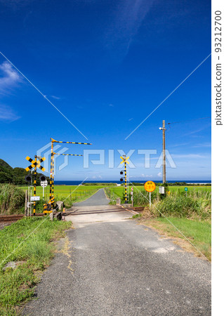 山口縣下關市豐浦町山陰本線本鄉鐵路道口和梯田景觀 93212700