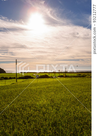 山口縣下關市豐浦町山陰本線本鄉鐵路道口和梯田景觀 山口縣下關市豐浦町山陰本線本鄉鐵路道口和梯田景觀 93212777