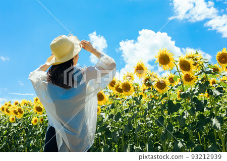 Sunflower field and back view of a woman woman and sunflower Sunflower field and back view of a woman woman and sunflower 93212939