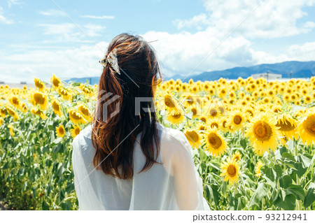 向日葵田和女人女人和向日葵的背影 向日葵田和女人女人和向日葵的背影 93212941