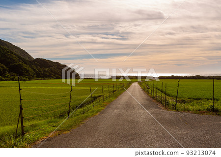 Scenery of terraced rice fields in Uga, Toyoura-cho, Shimonoseki City, Yamaguchi Prefecture Scenery of terraced rice fields in Uga, Toyoura-cho, Shimonoseki City, Yamaguchi Prefecture 93213074