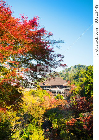 世界遺產京都清水寺的秋葉藍天 93213448