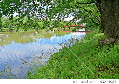 Hirosaki Castle Ruins, Hirosaki Castle West Moat, Shunyo Bridge, Hirosaki City, Aomori Prefecture Hirosaki Castle Ruins, Hirosaki Castle West Moat, Shunyo Bridge, Hirosaki City, Aomori Prefecture 93214081