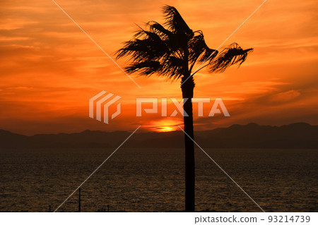 Obama sunset 93214739