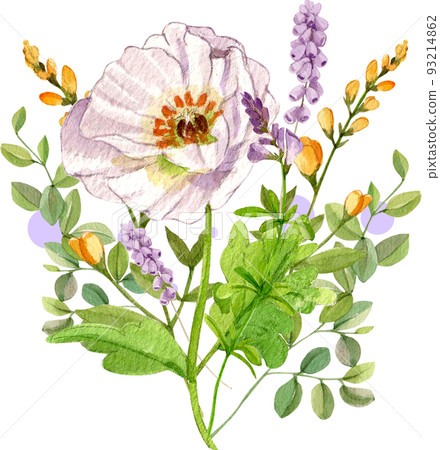 Flower herb watercolor png Flower herb watercolor png 93214862