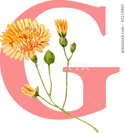 Flower herb alphabet A-Z watercolor png 93214863