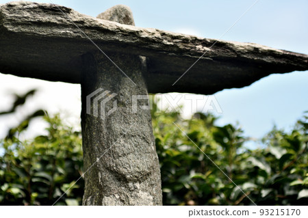 宮坂笠志 [和歌山縣伊東郡葛城町] 93215170