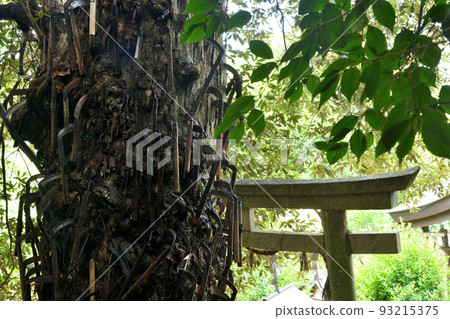 Kamahachimangu (Nyusakado Shrine) [Mitani, Katsuragi-cho, Ito-gun, Wakayama Prefecture] 93215375