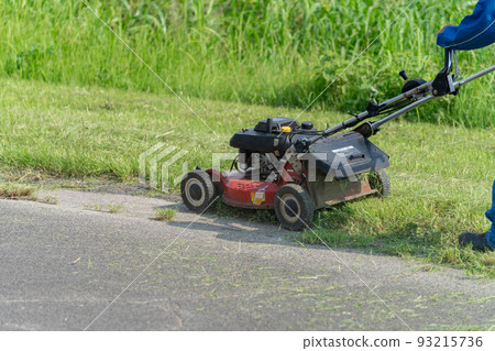 Summer mowing and lawn mowing 93215736