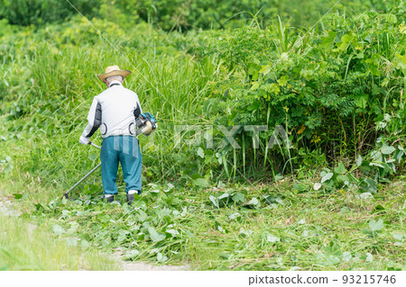 夏季割草和草坪割草 93215746