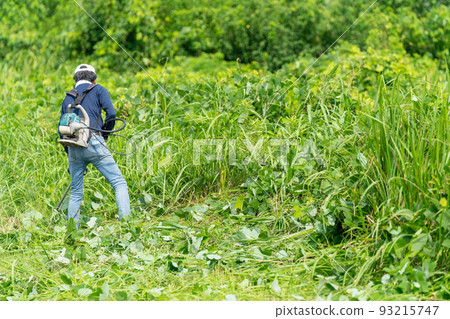 Summer mowing and lawn mowing 93215747